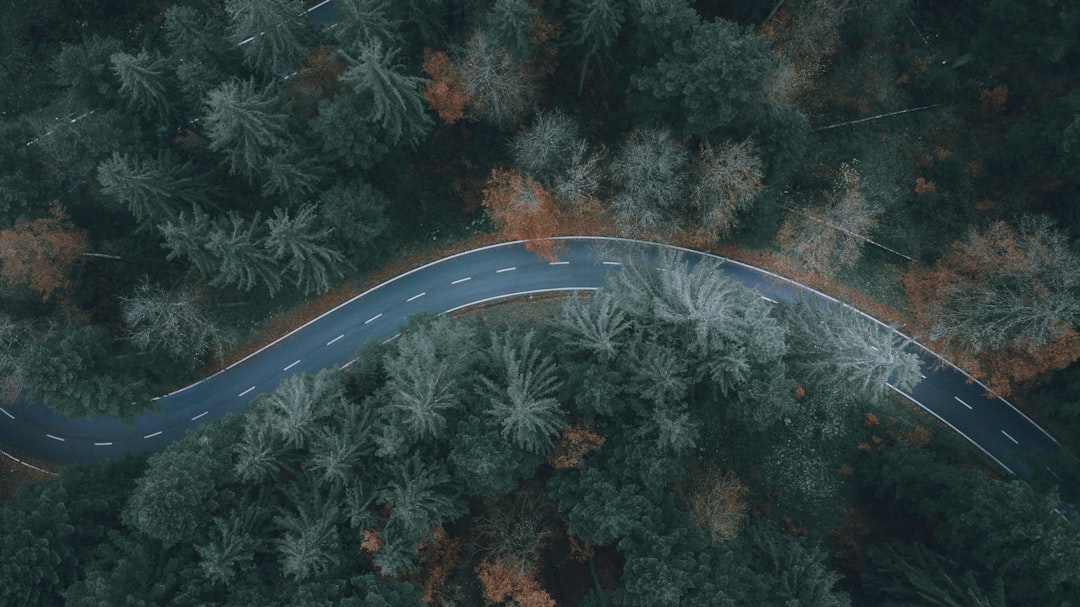 如何在-Google-AI-Overviews-中勝出-香港-SEO-專家必讀的全面策略指南