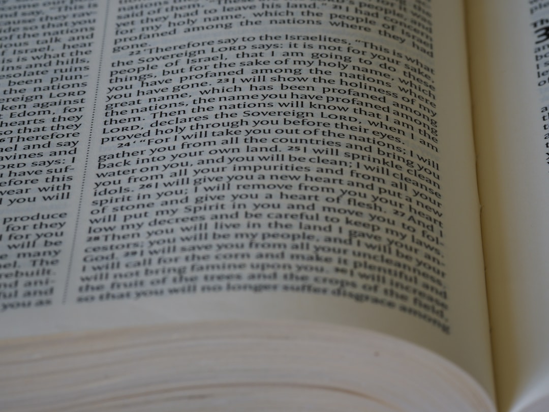 如何掌握AI-SEO-12大策略助您征服AEO與GEO排名